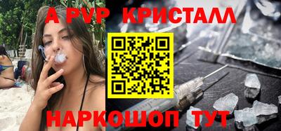 прущие крисы Кингисепп