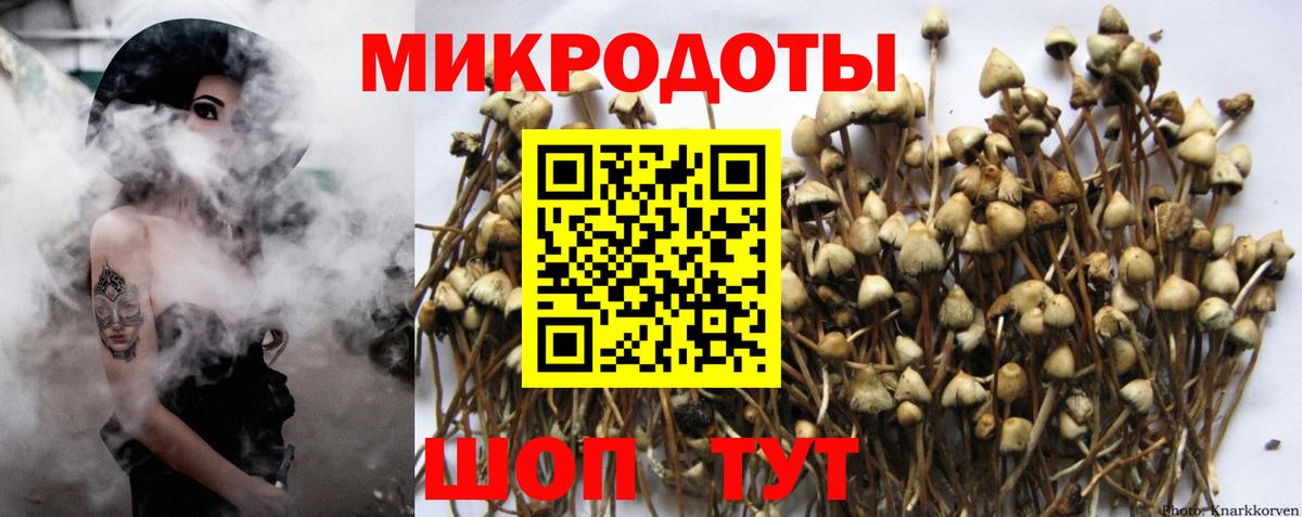 Кстово  Галлюциногенные грибы ЛСД  хочу   Вход с VPN 